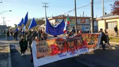 wente-winkul1-388x220